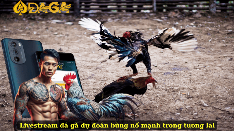 Livestream đá gà dự đoán bùng nổ mạnh trong tương lai