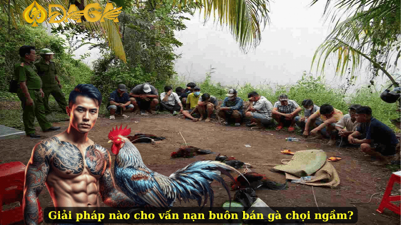 Giải pháp nào cho vấn nạn buôn bán gà chọi ngầm?