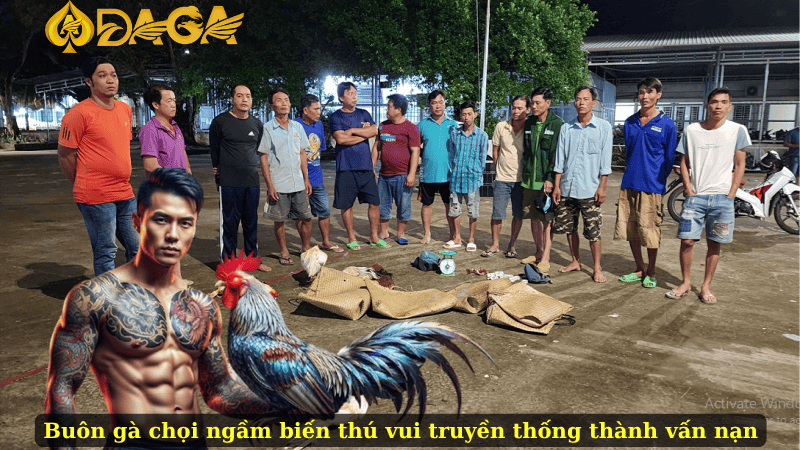 Buôn gà chọi ngầm biến thú vui truyền thống thành vấn nạn